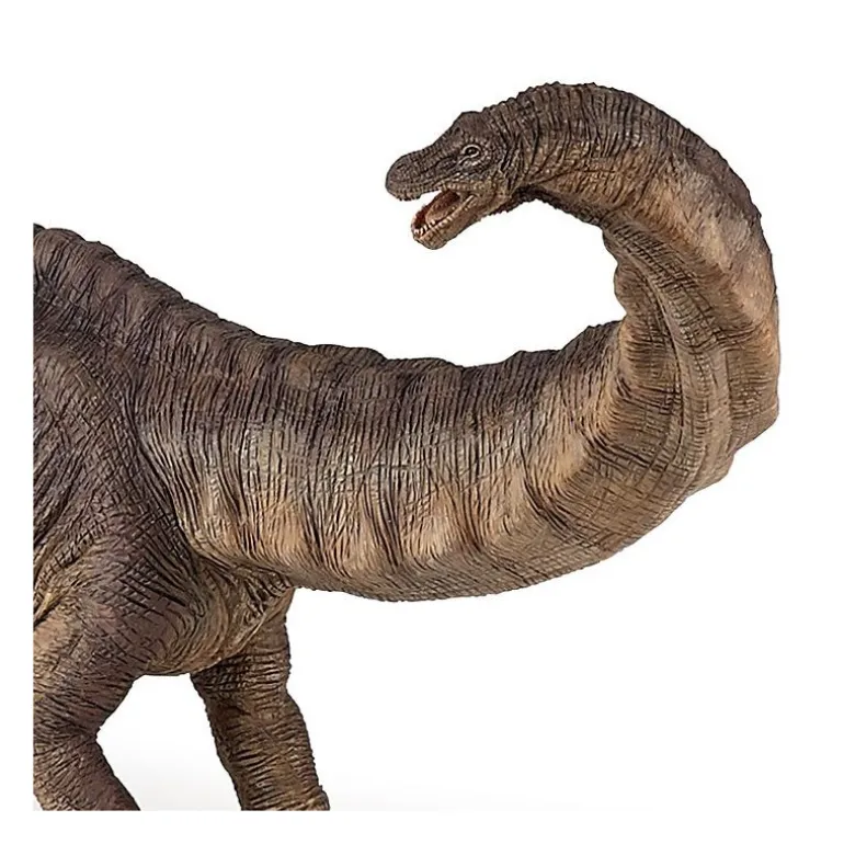 Apatosaure, dinosaure 55039<Papo Clearance