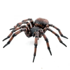 Araignée commune figurine 50292<Papo Outlet
