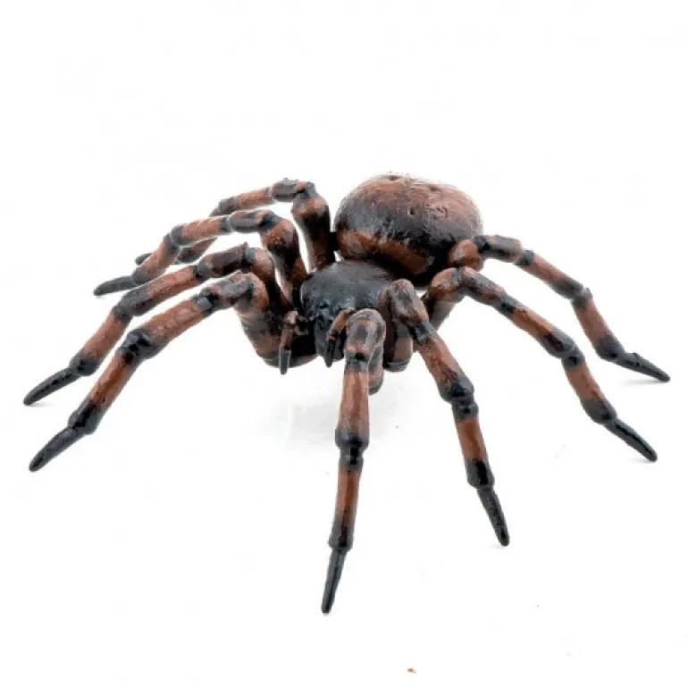 Araignée commune figurine 50292<Papo Outlet