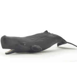 Bébé cachalot, figurine 56045<Papo Outlet