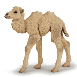 Bébé chameau, figurine 50221<Papo Store