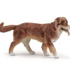 Berger australien, figurine 54038<Papo Outlet