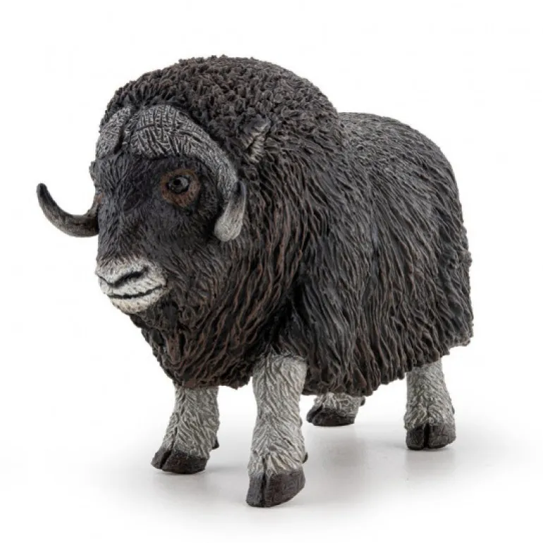 Boeuf musqué, figurine 50308<Papo Fashion