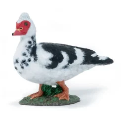 Canard de Barbarie, figurine 51189<Papo Store