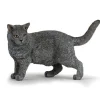 Chat chartreux, figurine 54040<Papo Store