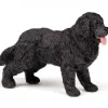 Chien Terre-neuve, figurine 54018<Papo Sale