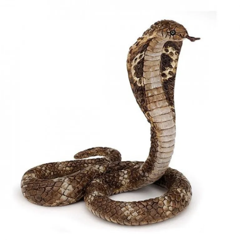 Cobra royal 50164<Papo Outlet