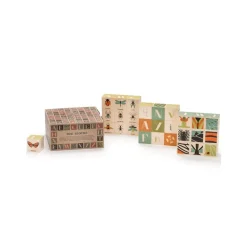 Cubes 'insectes'<Uncle Goose Clearance