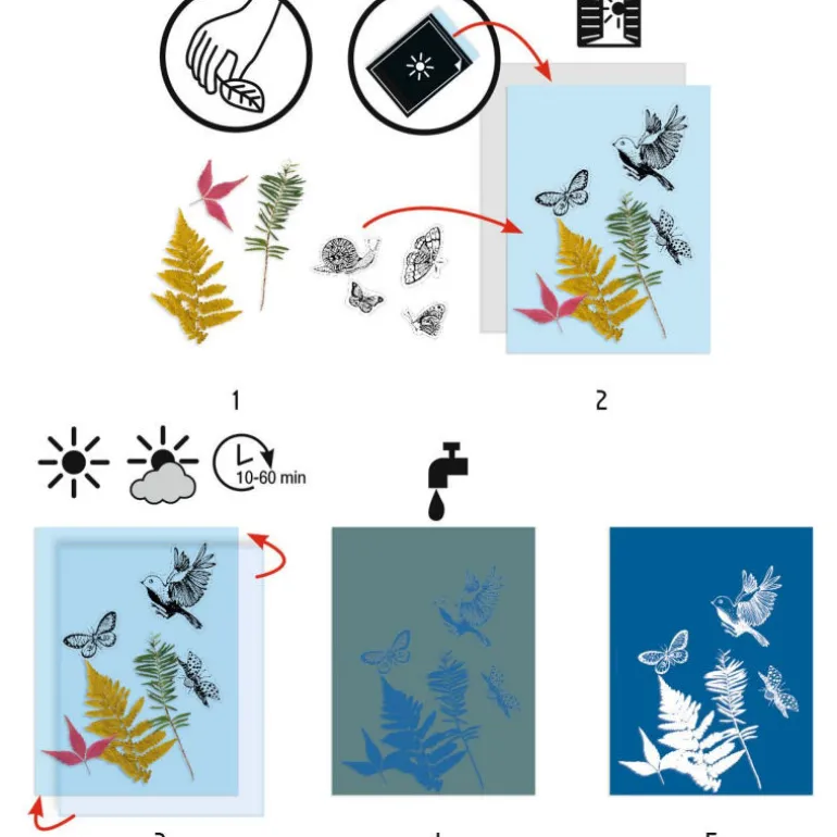 Cyanotype - kit d'initiation 9339<Djeco Best Sale