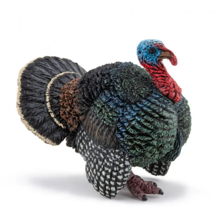 Dindon sauvage, figurine 51195<Papo Hot