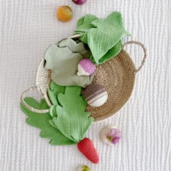 Doudou en coton bio "la carotte" The veggy toys<MyuM Flash Sale