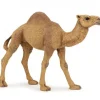 Dromadaire 50151<Papo New