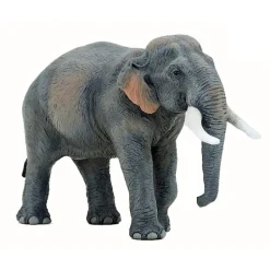 Eléphant d'Asie 50131<Papo Best Sale