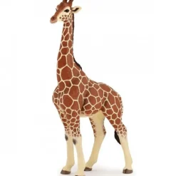 Girafe mâle 50149<Papo Discount