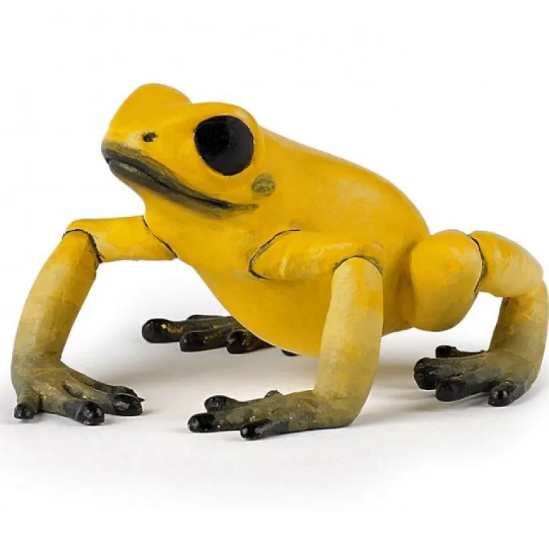 Grenouille équatoriale jaune, figurine 50174<Papo Fashion