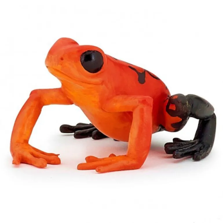 Grenouille équatoriale rouge, figurine 50193<Papo Cheap
