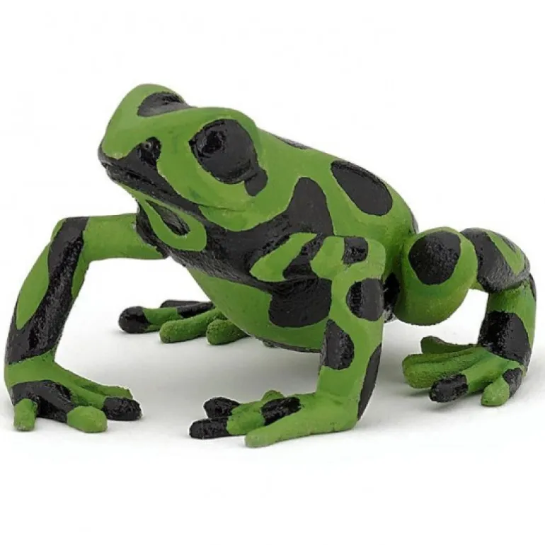 Grenouille équatoriale verte, figurine 50176<Papo Best