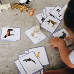 Imagier ANIMAUX mini Mondy, cartes de nomenclature<Observe Montessori Discount