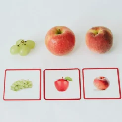 Imagier FRUITS & LEGUMES mini Mondy, cartes de nomenclature<Observe Montessori Cheap