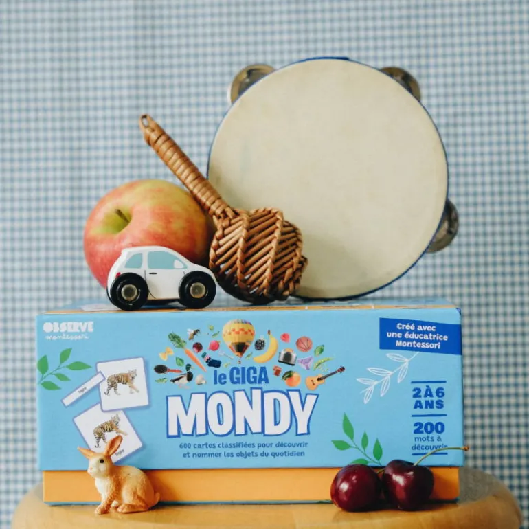 Imagier Giga Mondy, cartes de nomenclature<Observe Montessori Hot