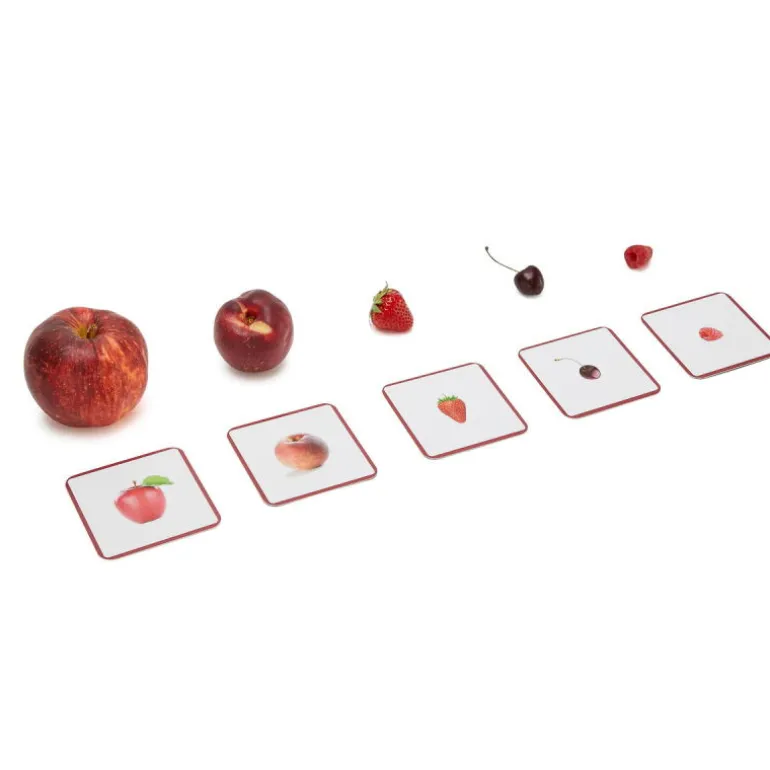 Imagier Giga Mondy, cartes de nomenclature<Observe Montessori Hot