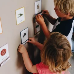 Imagier Giga Mondy, cartes de nomenclature<Observe Montessori Hot