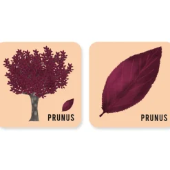 Jeu de mémory 'L'arbre et sa feuille' Pirouette Cacahouète<PIROUETTE CACAHOUETE Store