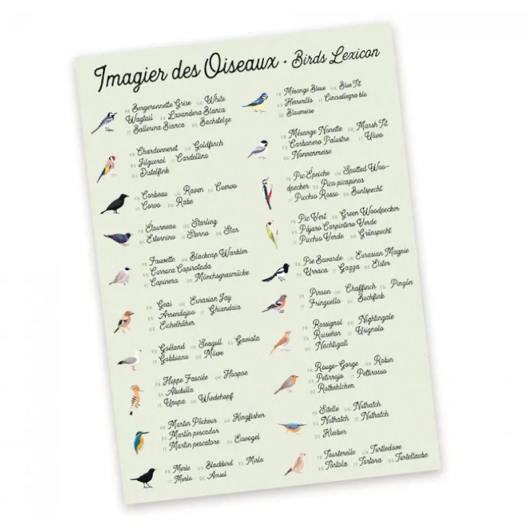 Jeu de mémory 'L'oiseau et sa plume' Pirouette Cacahouète<PIROUETTE CACAHOUETE Shop