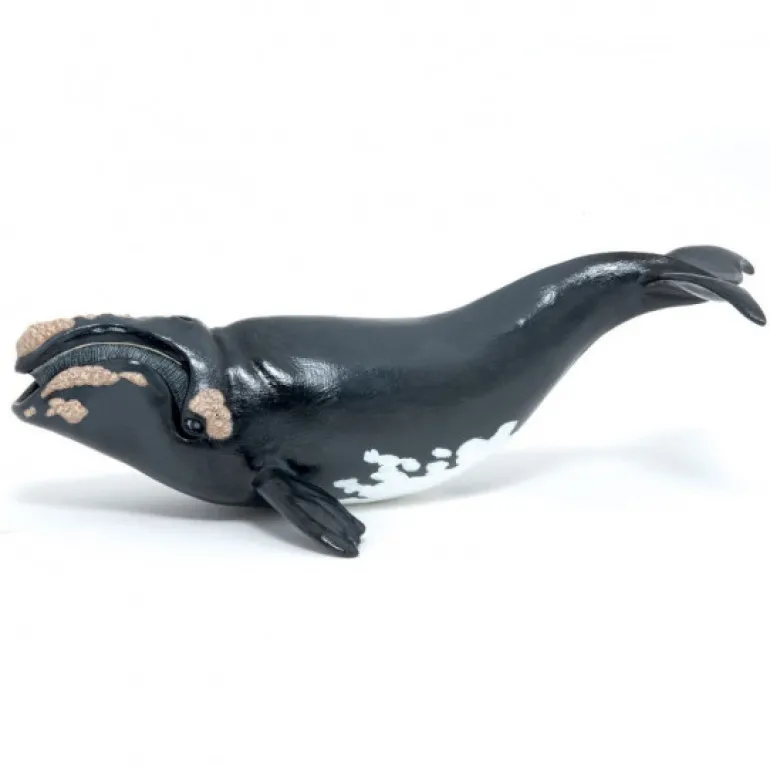 Jeune baleine franche de l'Atlantique nord, figurine 56057<Papo Outlet