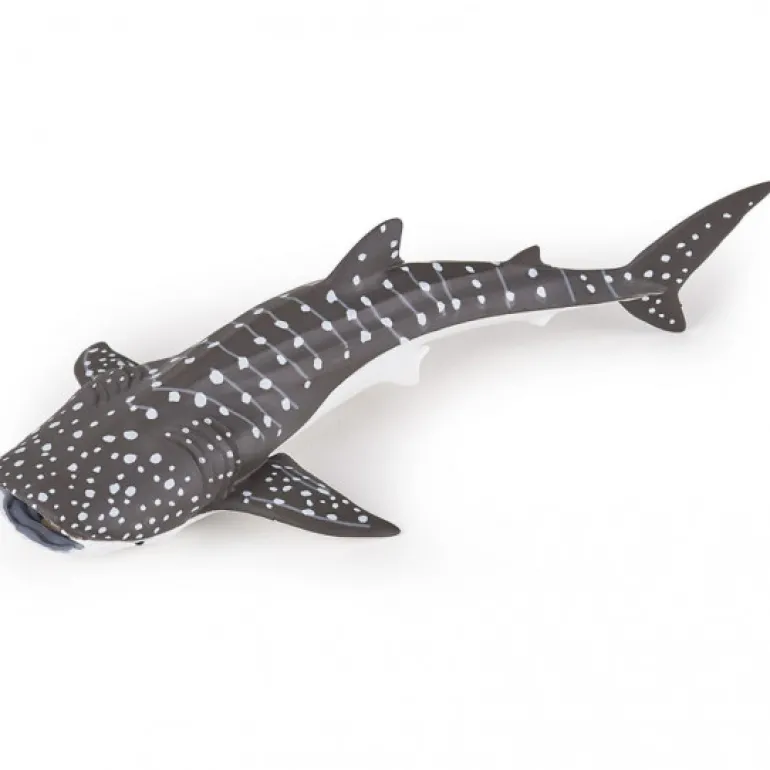 Jeune requin baleine, figurine 56046<Papo Best