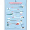 Les avions planeurs, maquettes en papier ''<Sophie et Martin Discount