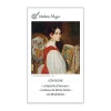 Les grands écrivains, jeu de 12 familles Sylvie de Soye<Jeux Sylvie de Soye Best