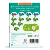 Les grenouilles sauteuses, kit minisuper ''<Sophie et Martin Online