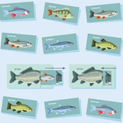 Les jolis poissons, kit minisuper ''<Sophie et Martin Shop