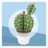 Les petits cactus, maquettes en papier ''<Sophie et Martin Discount