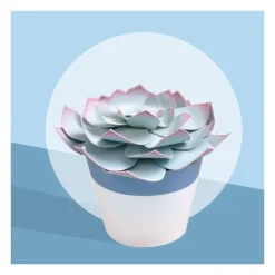 Les petits cactus, maquettes en papier ''<Sophie et Martin Discount