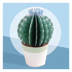 Les petits cactus, maquettes en papier ''<Sophie et Martin Discount