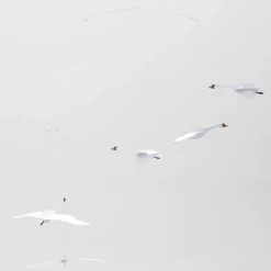 Mobile en papier "Cygnes nordiques"<Flensted Mobiles Best Sale