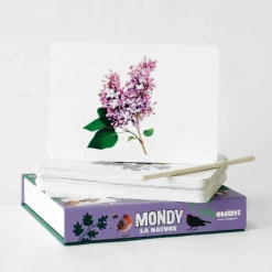 Mondy des p'tits curieux<Observe Montessori Discount