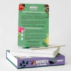 Mondy des p'tits curieux<Observe Montessori Discount