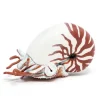 Nautile, figurine 56061<Papo Online