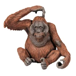 Orang-Outan 50120<Papo Cheap