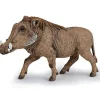Phacochère, figurine 50180<Papo Shop