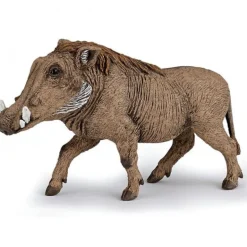 Phacochère, figurine 50180<Papo Shop