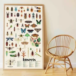 Poster en stickers "Insectes"<POPPIK Best Sale