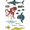 Poster en stickers "Océans"<POPPIK Outlet