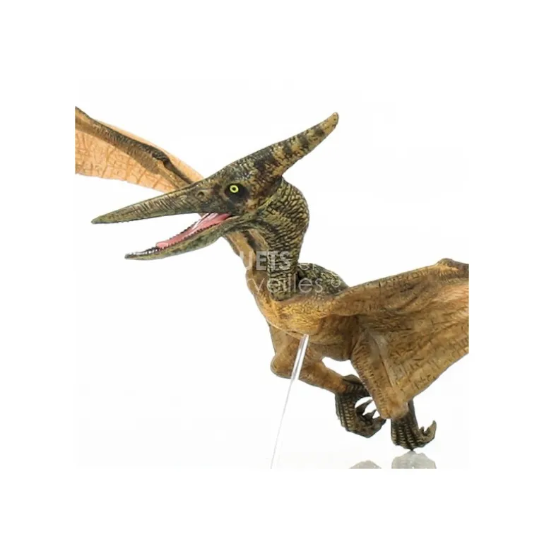Ptéranodon, dinosaure 55006<Papo Flash Sale