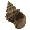 Puzzle sculpture 3D en carton - Coquillage -<Cartonic Best Sale