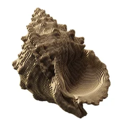 Puzzle sculpture 3D en carton - Coquillage -<Cartonic Best Sale