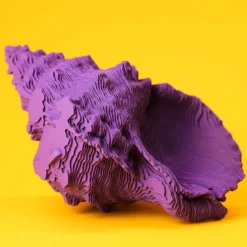 Puzzle sculpture 3D en carton - Coquillage -<Cartonic Best Sale